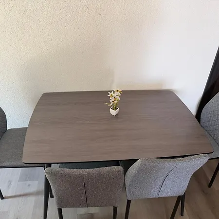 Kata Šmrika